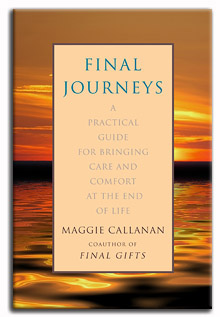 Final Journeys cover